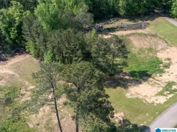 4240 Grimes Rd #0, Adger, AL 35006