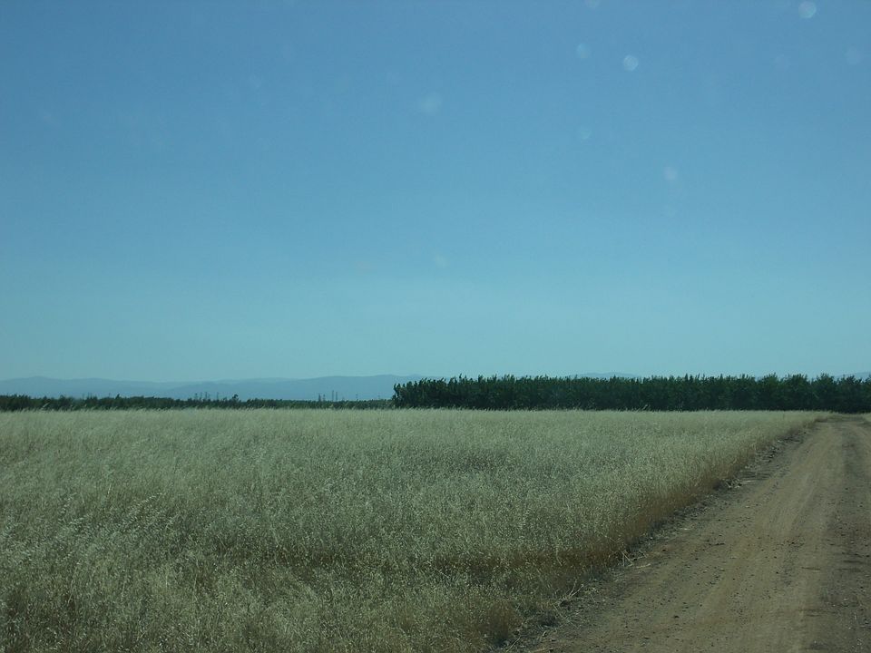 2nd image of 21255 Mount Yollo Bolly Ave