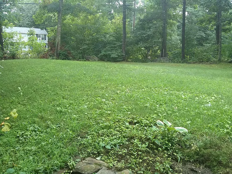 Nice yard