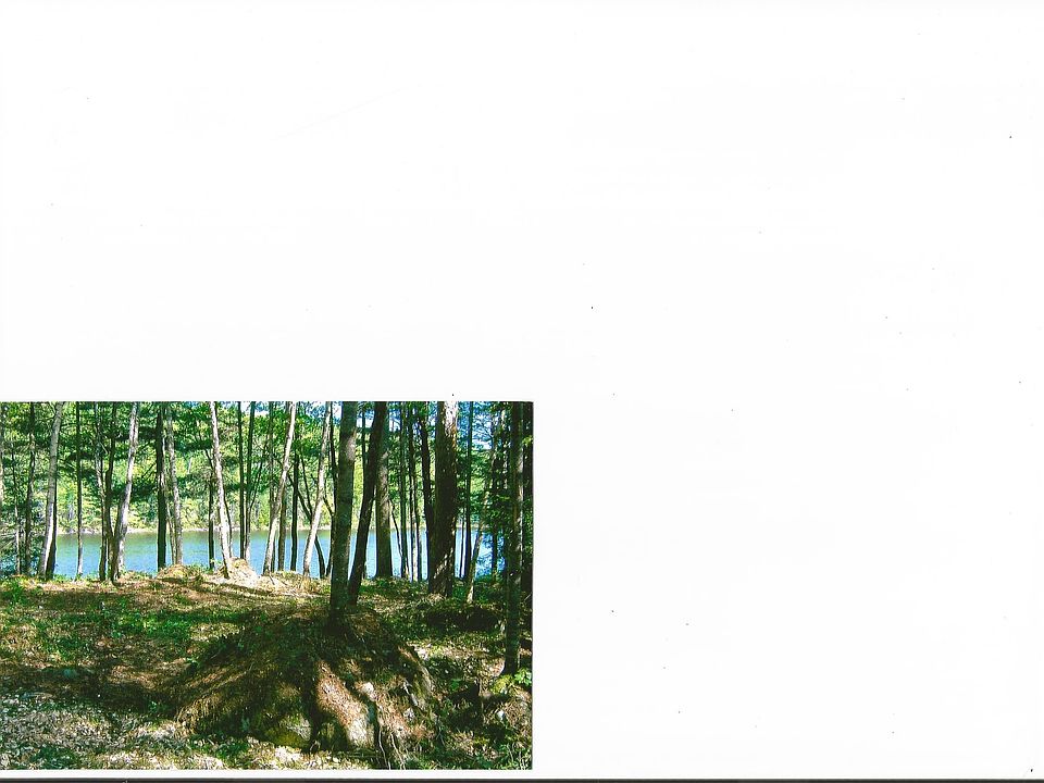 View of lake from 100'