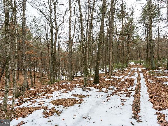 4th image of LOT 44 Rainbow Ridge Rd