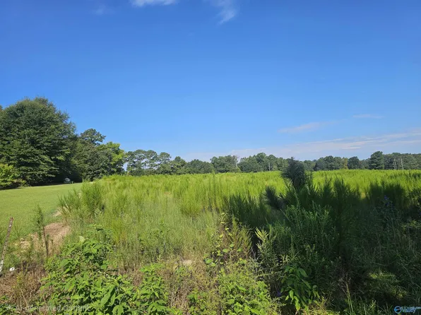 23 Bridge Rd NE, Arab, AL 35016