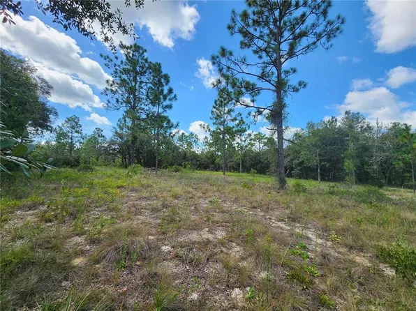 SW NECTARINE LANE LOT 10, DUNNELLON, FL 34431