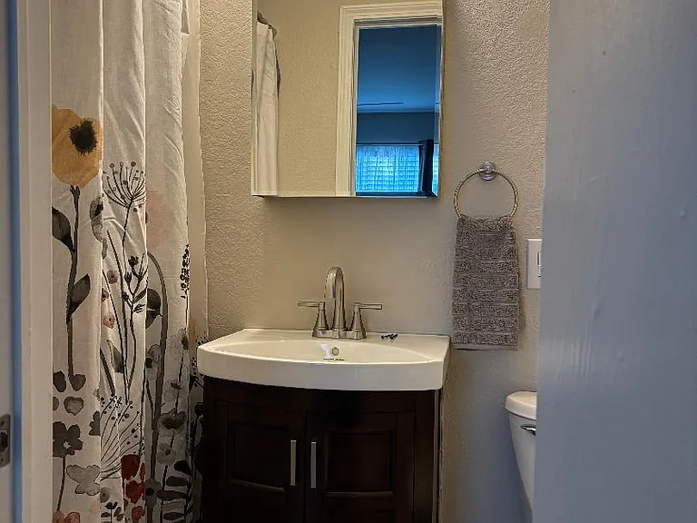 Master bathroom with walk-in shower.