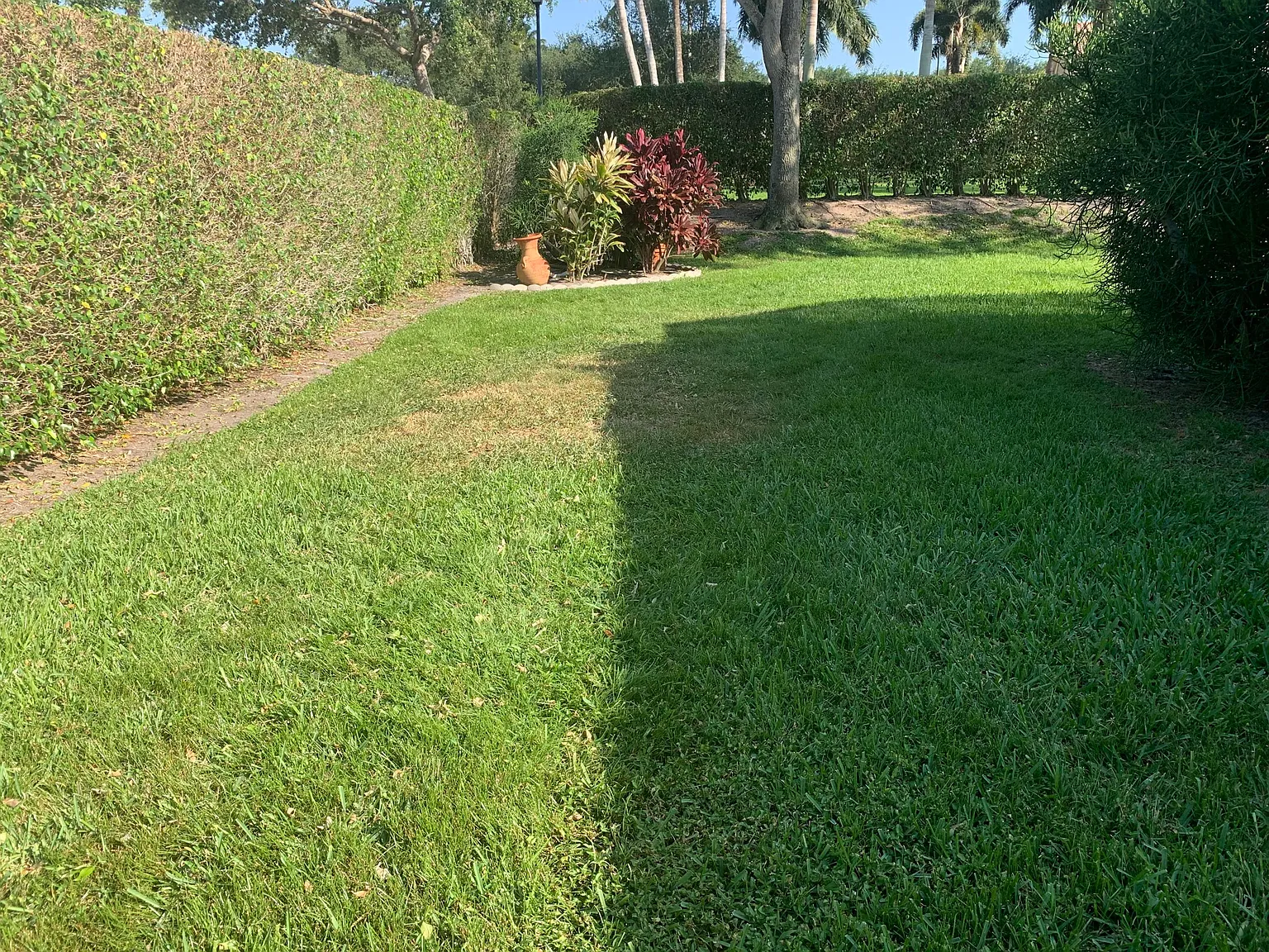 3 bed, 2.5 bath, 2495 sqft, $4,300 — Photo 3