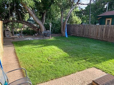 Summer - back yard
