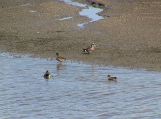 2905 Cape Sebastian Pl, Cardiff, CA 92007