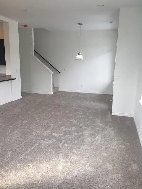 Dining / Living Room