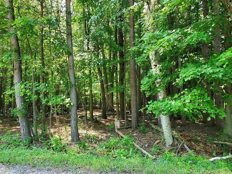 Mortimer Line Rd, Croswell, MI 48422 MLS 006230025 Zillow