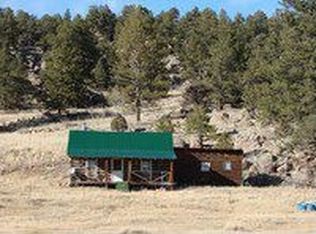 185 Canyon Dr, Guffey, CO 80820