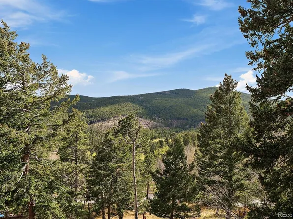 81 Raccoon Circle, Evergreen, CO 80439