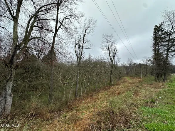 564 Amadei Rd, Ebensburg, PA 15931