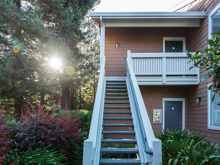 Park Wood Apartments — Photo 9