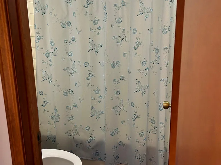 Shared bathroom (Upstairs)