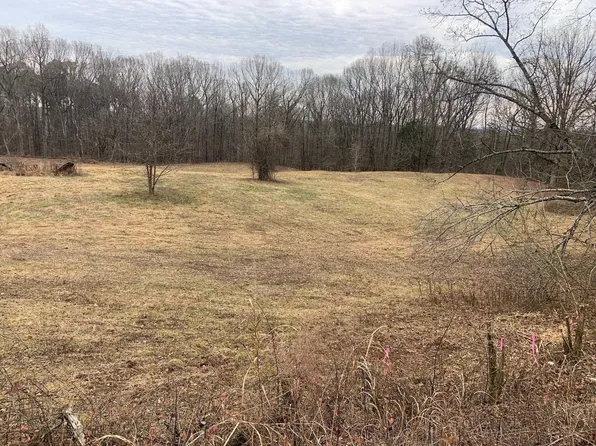 38 Carter Rd, Sardis, TN 38371