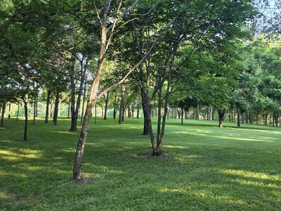 113 Locust Grove Dr, Georgetown, KY, 40324