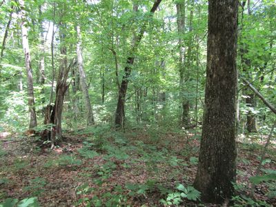 0 Davidson Dr LOT 29, Monterey, TN, 38574