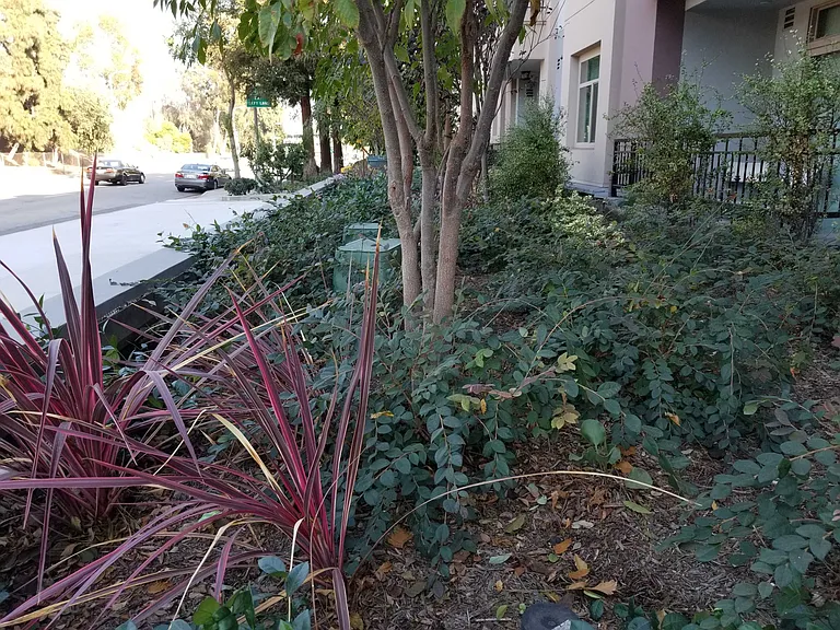 Riverside Dr — Photo 56