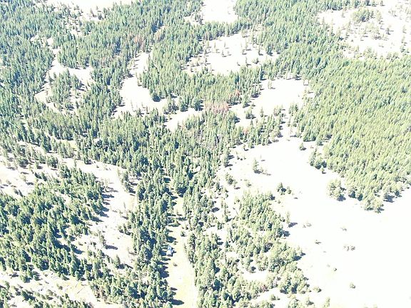 4th image of 57034 Usfs 21 Rd