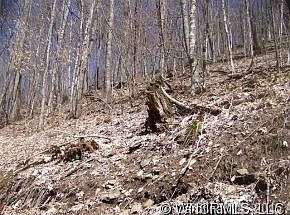 2nd image of 27 & 29 Lot 27