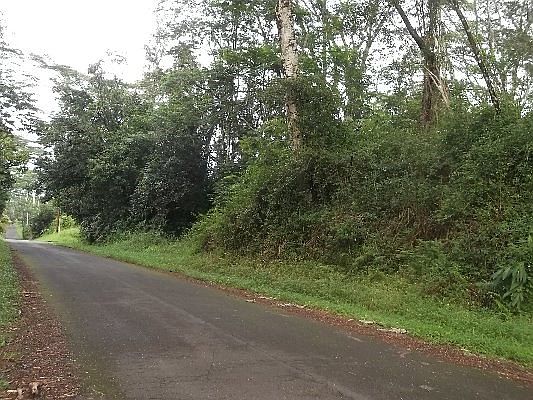 3rd image of Niihau Lot 266