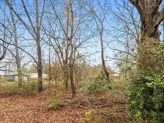 3rd image of 113 McNeese Dr Lot 2