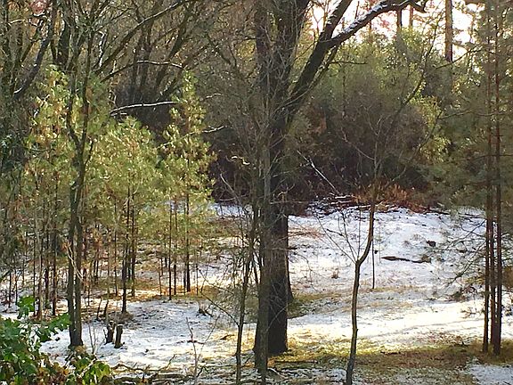 4 seperate legal parcels