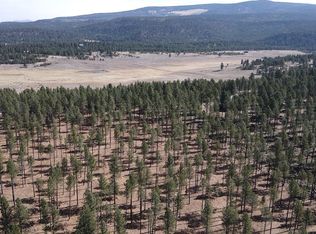LOT 3 Corner Rd, Angel Fire, NM 87710