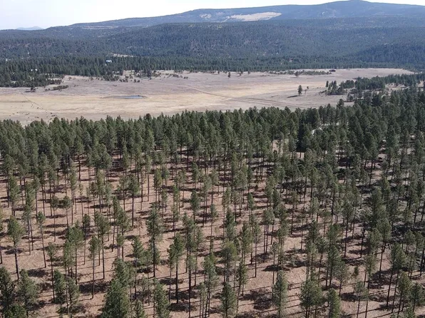 Lot 3 Corner Park Rd, Angel Fire, NM 87710