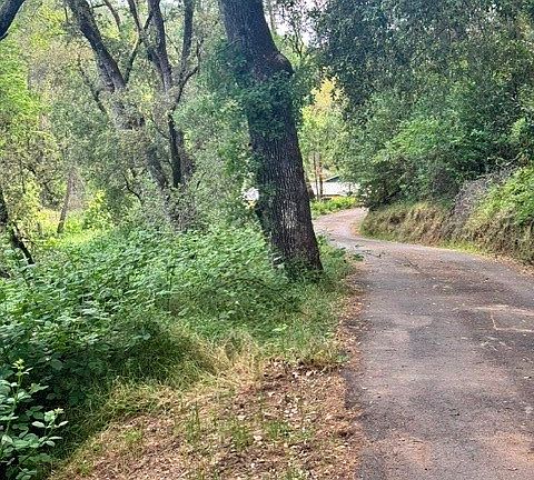4th image of 2601 Murphys Grade Rd