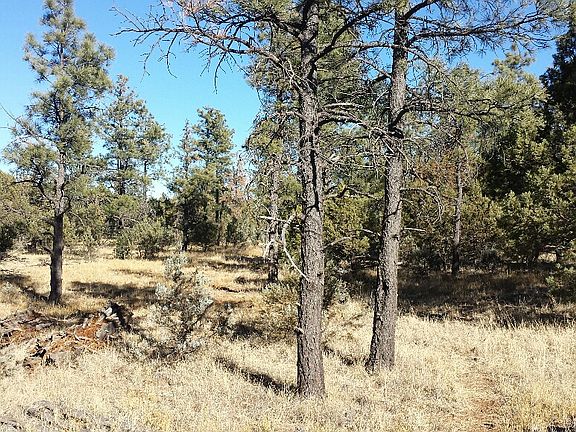 2nd image of 0 W Coyote Dr 212-15-010 A