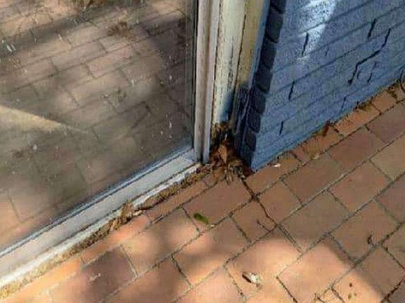 5th image of 582 Rowland Dr