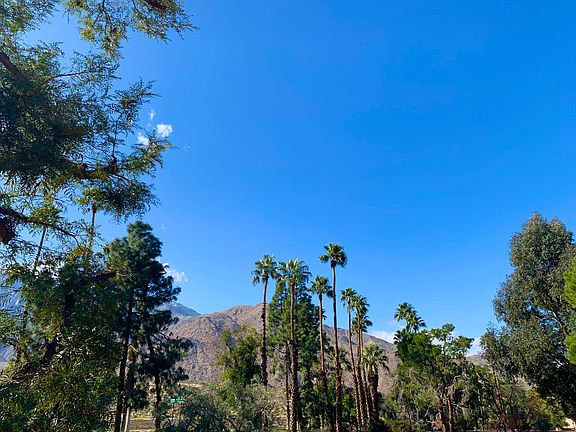 2nd image of 701 N Los Felices Cir W #214