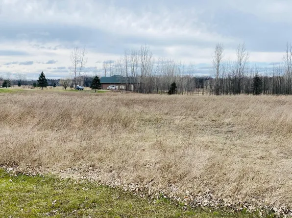 Tbd Pickard Rd, Mount Pleasant, MI 48858