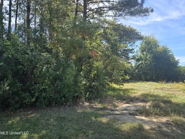 1033 Live Oak Dr, Biloxi, MS 39532