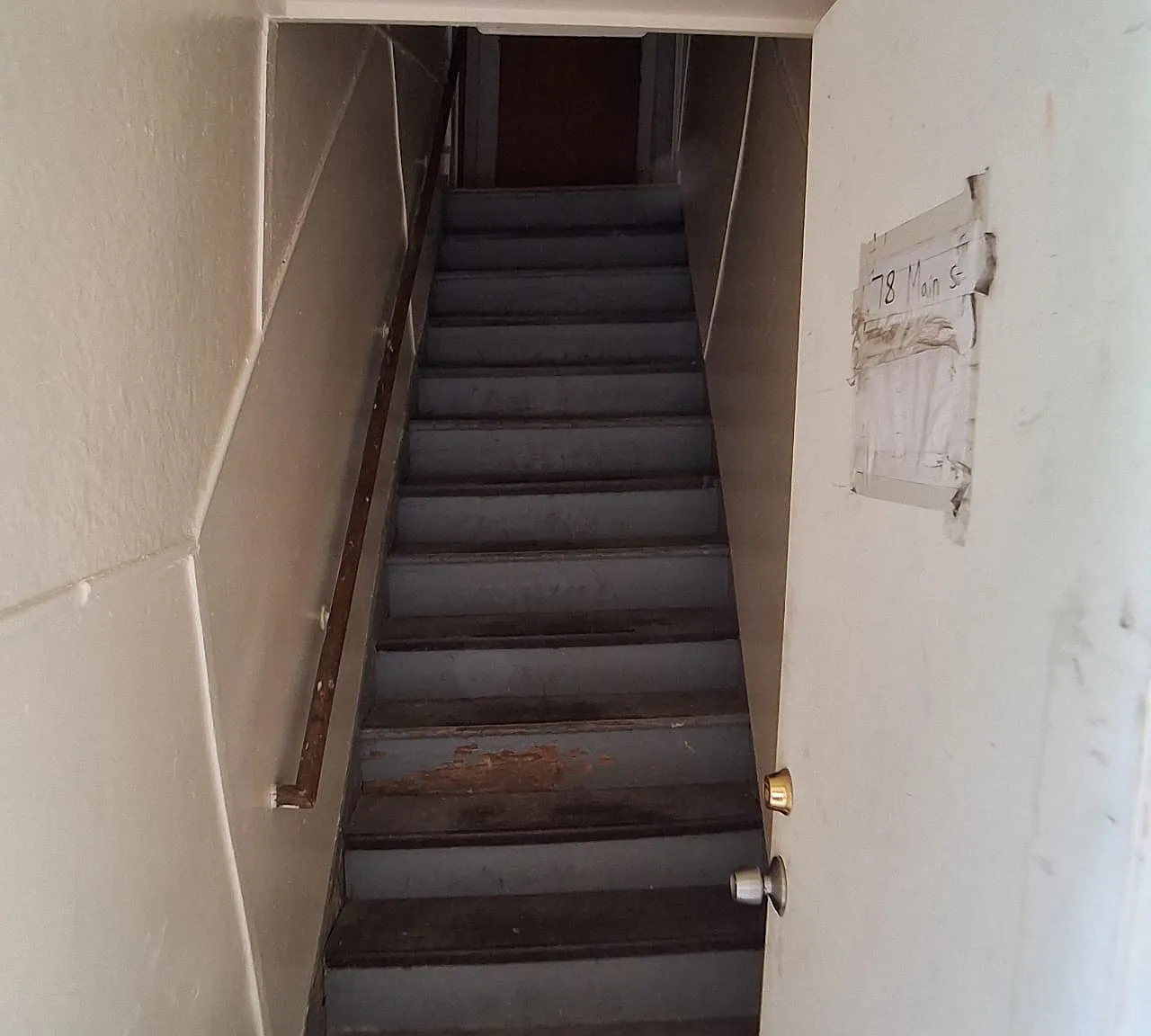 1 bed, $1,350 — Photo 4
