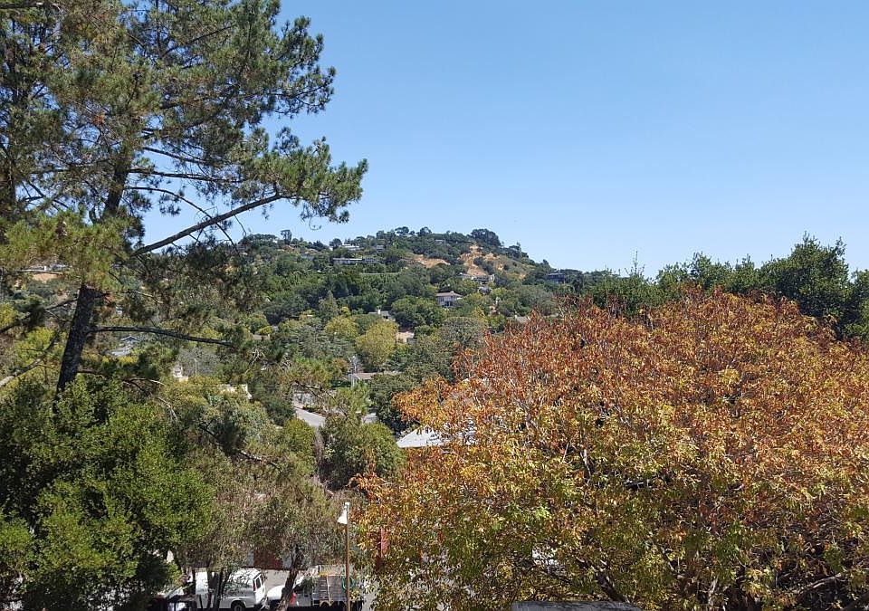 The view from your living room and balcony