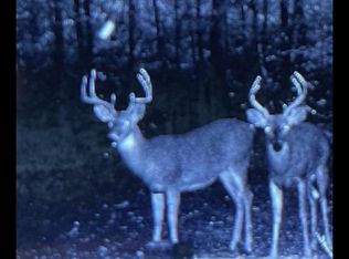 0 County Road 255, Thayer, MO 65791