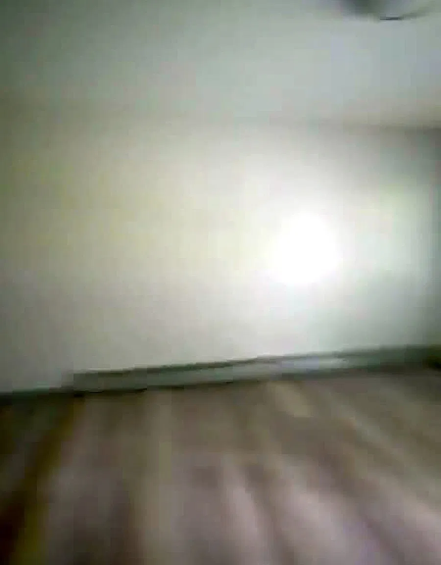 1 bed, 650 sqft, $1,250 — Photo 3