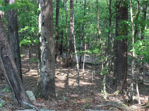 229 Chickasaw Dr, Waleska, GA 30183