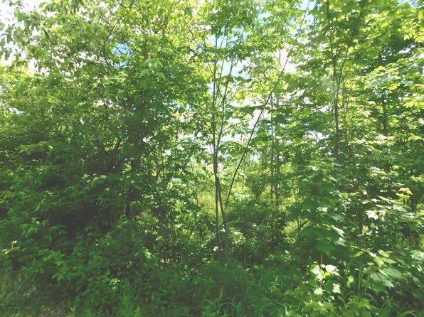 000 Fush Hill Road, Ripley, ME 04923