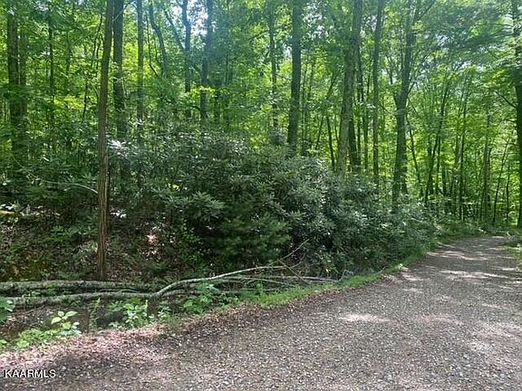 4th image of Critter Valley Way Lot 17