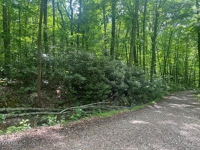 2nd image of Critter Valley Way Lot 12
