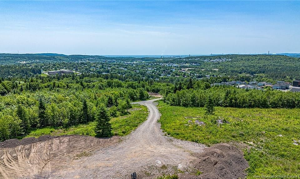 1st image of Dolly Dr
