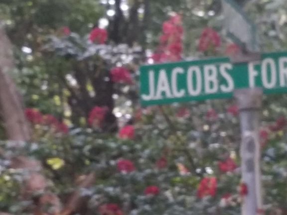 5th image of 7412 Jacobs Fork Ln