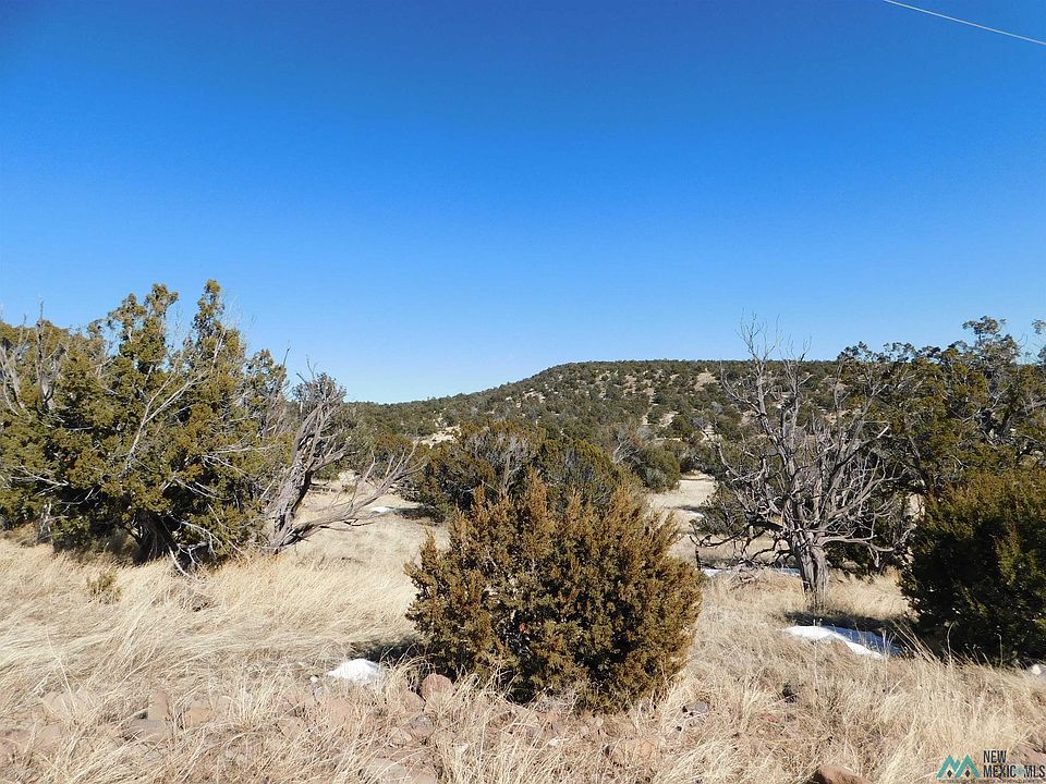 229 Squaw Pass, Quemado, NM 87829 MLS 20230401 Zillow