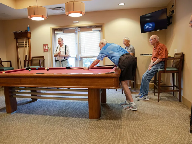 Lifestyle | Billiards