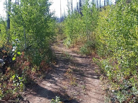 3rd image of W Knox Creek Dr