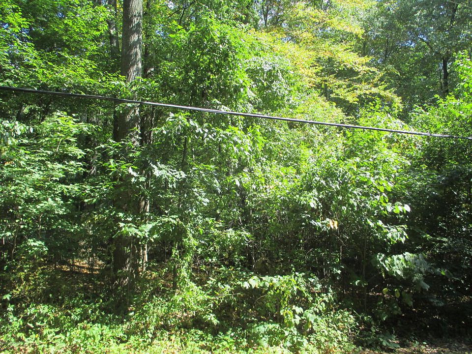 2nd image of 586 Molasses Rd