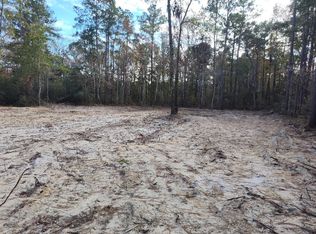 1804 Old Town Ave LOT 124, Georgetown, SC 29440
